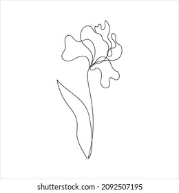 Continuous line drawing of an abstract iris flower. Isolated. Floral sketch. Abstract plant drawn by one line. Minimalism. Vector illustration.