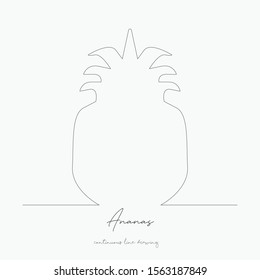 continuous line drawing. ananas. simple vector illustration. ananas concept hand drawing sketch line.