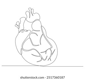 Continuous line drawing of anatomical human heart organ. Medical internal anatomy concept. Single line draw trendy design vector illustration. Editable outline.