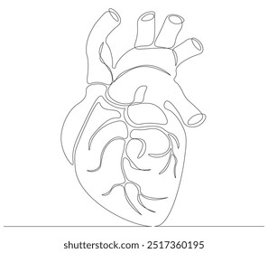 Desenho de linha contínua de órgão anatômico do coração humano. Conceito de anatomia interna médica. Desenho de linha única na moda ilustração de vetor de design. Descrição editável.