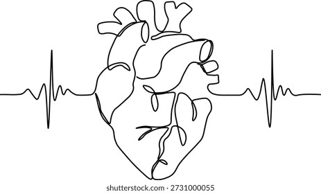 Continuous Line Drawing Of Anatomical Human Heart With Heartbeat Pulse Wave