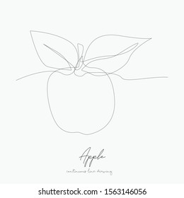 continuous line drawing. apple. simple vector illustration. apple concept hand drawing sketch line.