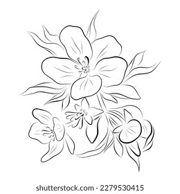 Continuous line drawing. line art apple blossom Vector Minimalistic