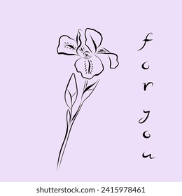 Continuous line drawing. line art iris Continuous line drawing.