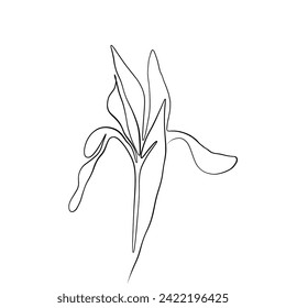 Continuous line drawing. line art of iris flower Continuous line drawing. Vector