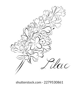 Continuous line drawing. line art lilac Vector Minimalistic