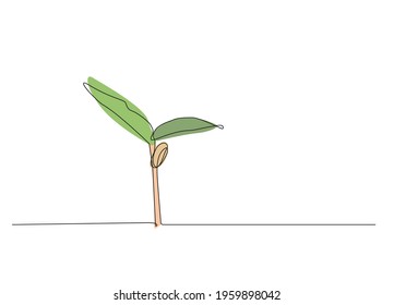 continuous line drawing art of seedling on white background, vector illustration minimalism art