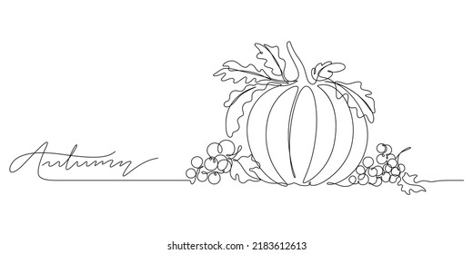 continuous line drawing autumn background  pumpkin   berry decorative still life vector illustration