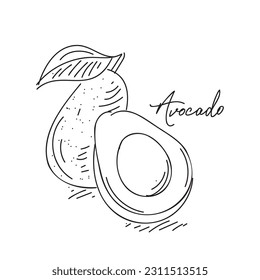 Kontinuierliche Zeichnung des Avocado. Vorlage für Ihr Design. Vektorgrafik