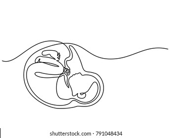 Continuous line drawing. Baby in womb on the white background. Vector illustration