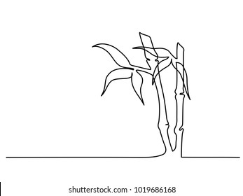 Continuous line drawing of bamboo plant with leaves. Vector illustration