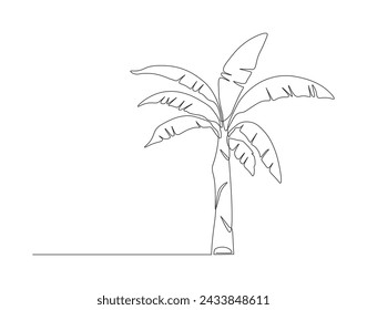 Continuous Line Drawing Of Banana Tree. One Line Of Banana Plant. Banana Tree Continuous Line Art. Editable Outline.