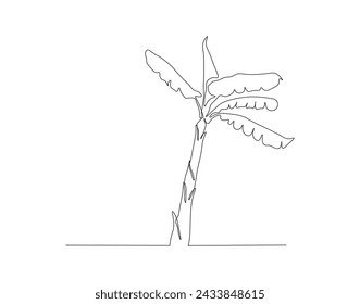 Continuous Line Drawing Of Banana Tree. One Line Of Banana Plant. Banana Tree Continuous Line Art. Editable Outline.