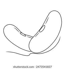 Continuous line drawing of beans. Vector illustration.