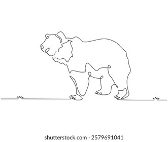 Continuous line drawing of bear animal. Single line illustration of brown bear. Mammal animal concept. Editable outline