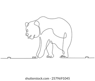 Continuous line drawing of bear animal. Single line illustration of brown bear. Mammal animal concept. Editable outline