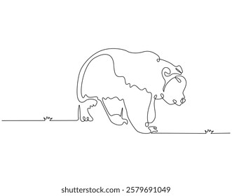 Continuous line drawing of bear animal. Single line illustration of brown bear. Mammal animal concept. Editable outline