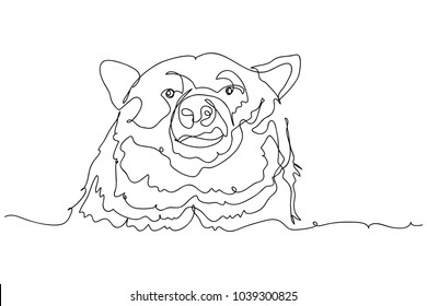 continuous line drawing of bears wild animals vector illustration t shirt, child or wrapping paper. Typography graphic print for t-shirt For print,