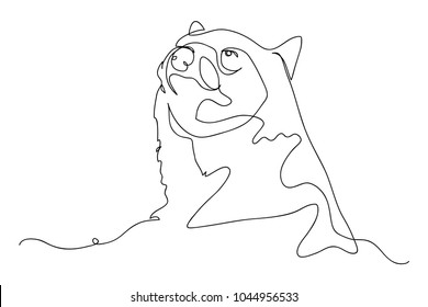continuous line drawing of bears wild animals vector illustration