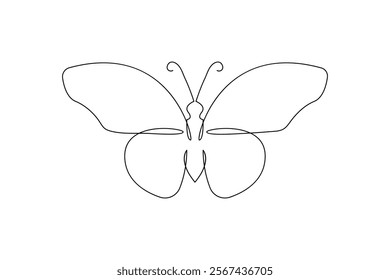  Continuous line drawing of beautiful butterfly outline vector Illustration