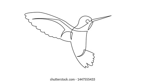 continuous line drawing of beautiful colibri birg flying