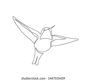 continuous line drawing of beautiful colibri small bird flying