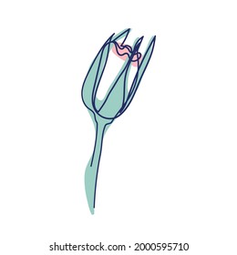 dibujo continuo de la bella rosa de la flor