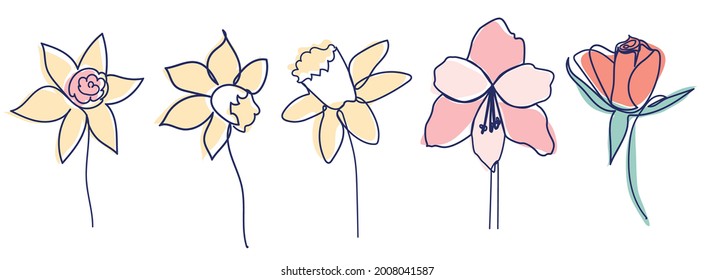 continuous line drawing of beautiful flower Calla, monstera leaf, rose, daffodil, water lily, orchid