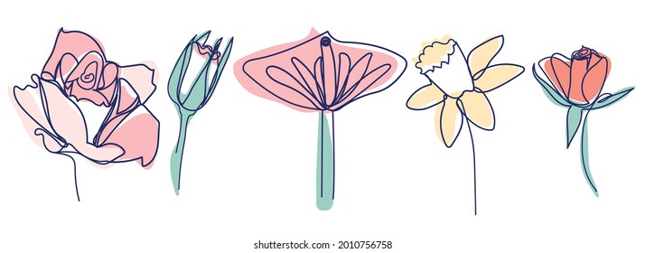continuous line drawing of beautiful flower Calla, monstera leaf, rose, daffodil, water lily, orchid
