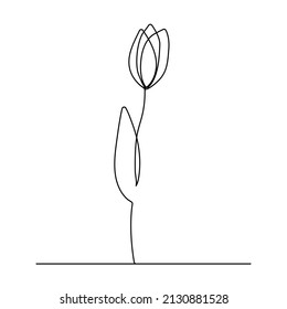 continuous line drawing beautiful tulips line design ideas stylized flower symbol

