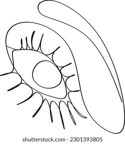 Continuous line drawing. Beautiful Woman s eye. Black and white isolated outline vector illustration. Concept for logo, card, banner, poster, flyer