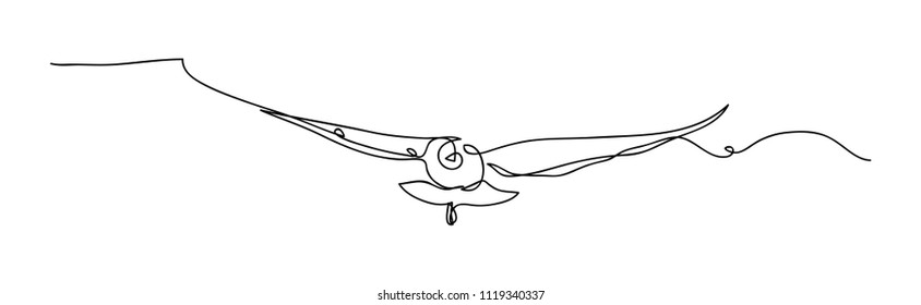 continuous line drawing of a bird, vector illustration.