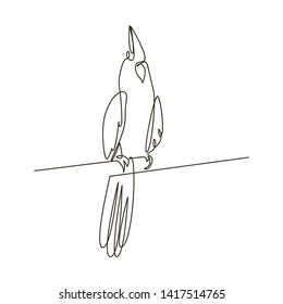 Continuous line, drawing of birds, katel & cute birds, hand-drawn, simple lines, vector illustration, logo
for t-shirt, slogan design print graphics style