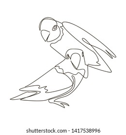 Continuous line, drawing of birds, katel & cute birds, hand-drawn, simple lines, vector illustration, logo
for t-shirt, slogan design print graphics style