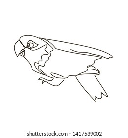 Continuous line, drawing of birds, katel & cute birds, hand-drawn, simple lines, vector illustration, logo
for t-shirt, slogan design print graphics style