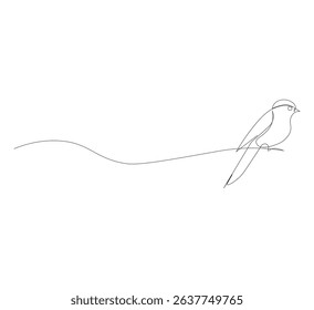continuous line drawing of birds perched on a branch,Sketch. Collection of birds in the park and forest. Hand drawn vector illustration.