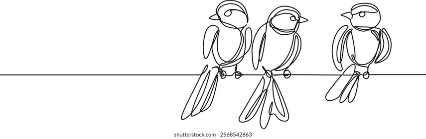 continuous line drawing of birds sitting on power line or tree branch, line art vector illustration