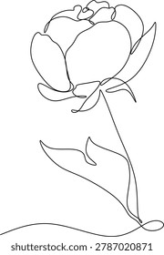 Continuous line drawing of blooming flower with leaves. Minimalistic freehand vector illustration in trendy outline style, isolated on white background. Elegant botanical artwork with modern floral aesthetic. Hand drawn without artificial intelligence