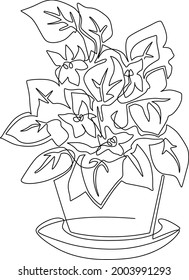 Continuous line drawing. Blooming violet in a flower pot. Vector illustration.