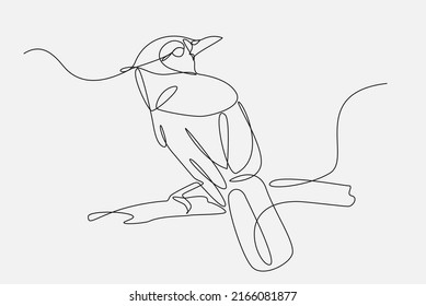 Continuous Line drawing of a blue jay perched on a tree branch