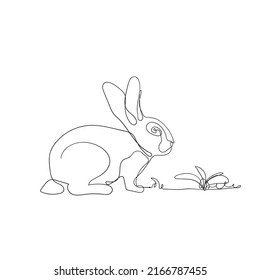 continuous line drawing bunny rabbit illustration vector