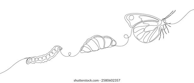 Continuous line drawing of butterfly life cycle. Transformation of caterpillar from cocoon into butterfly. Minimalist black linear sketch isolated on white background.