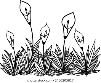 Continuous line drawing of Calla lilies flower with leaves. Vector illustration