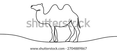 Continuous line drawing of a camel in a clean minimal outline style. Simple elegant contour of the animal, smooth linear form, isolated on transparent background as a vector illustration