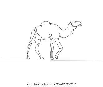Continuous line drawing of camel. Single line illustration of arabian camel. Dessert animal, dromedary vector outline. Editable outline
