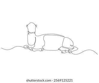 Continuous line drawing of camel. Single line illustration of arabian camel. Dessert animal, dromedary vector outline. Editable outline
