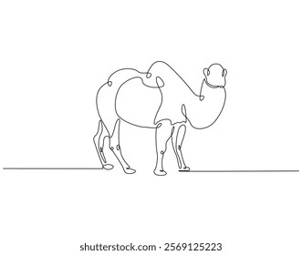 Continuous line drawing of camel. Single line illustration of arabian camel. Dessert animal, dromedary vector outline. Editable outline
