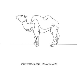 Continuous line drawing of camel. Single line illustration of arabian camel. Dessert animal, dromedary vector outline. Editable outline
