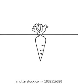 Continuous line drawing of carrot, single line, one line, vector ilustration