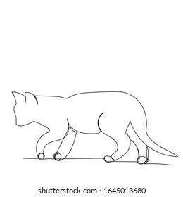 Continuous Line Drawing Cat Sketch Stock Vector (royalty Free) 1645013680